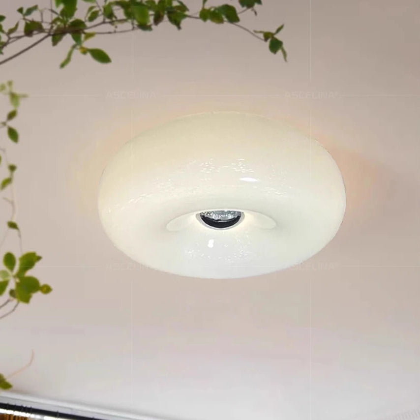Ceiling light fixture with a plant and window in the background