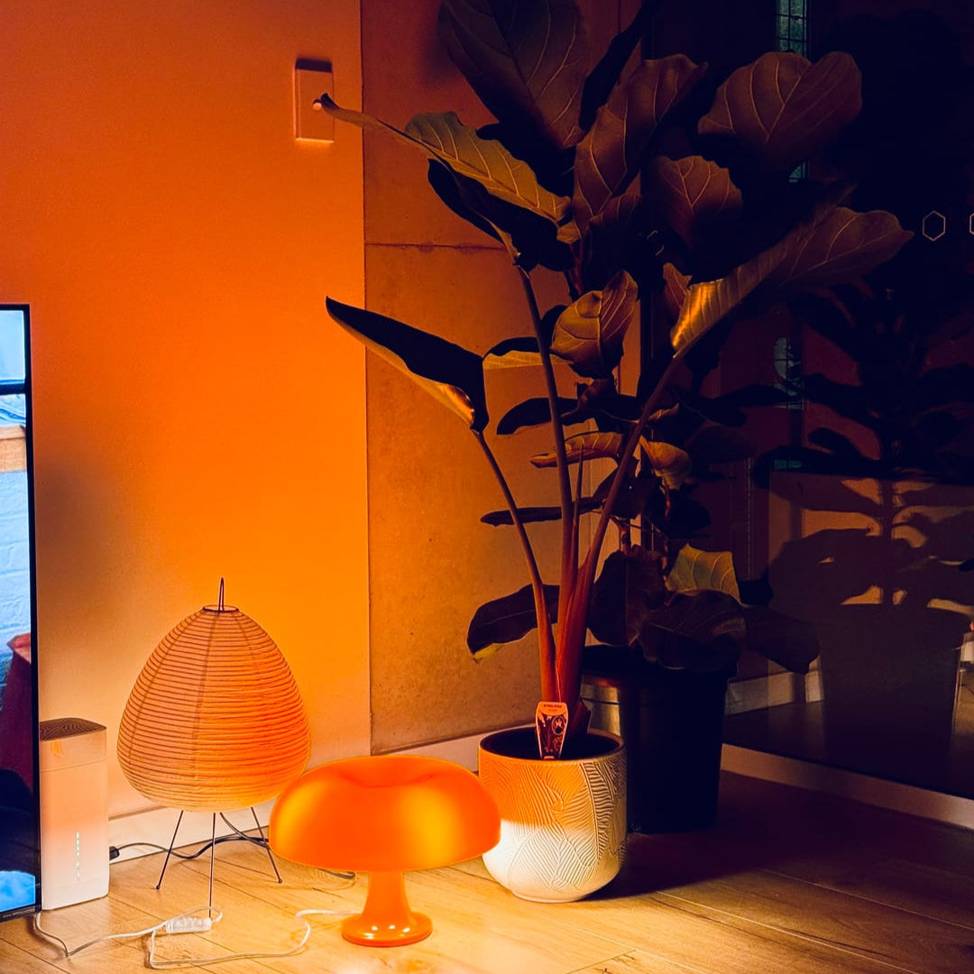 Modern interior with a plant, lamp, and television in a dimly lit room.